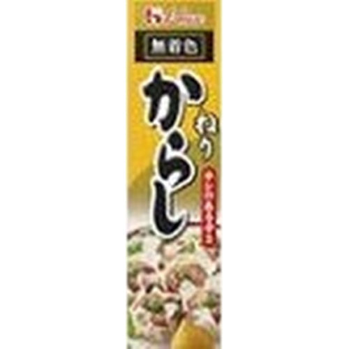 ハウス ねりからし 43g×10