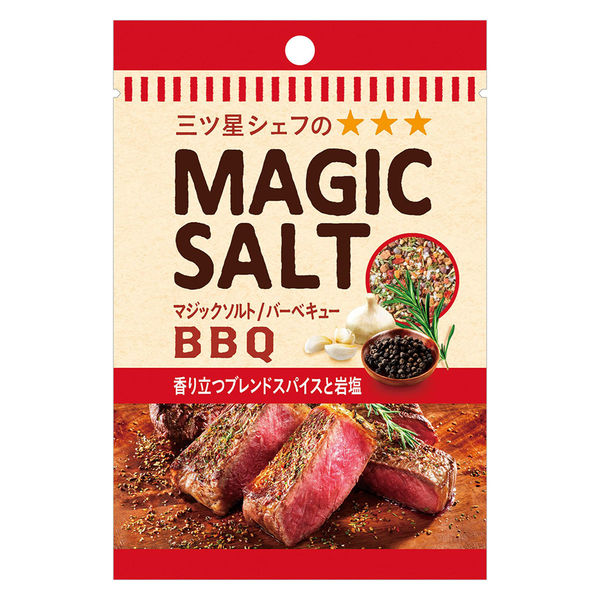 S&B マジックソルト BBQ 袋入 20g x10