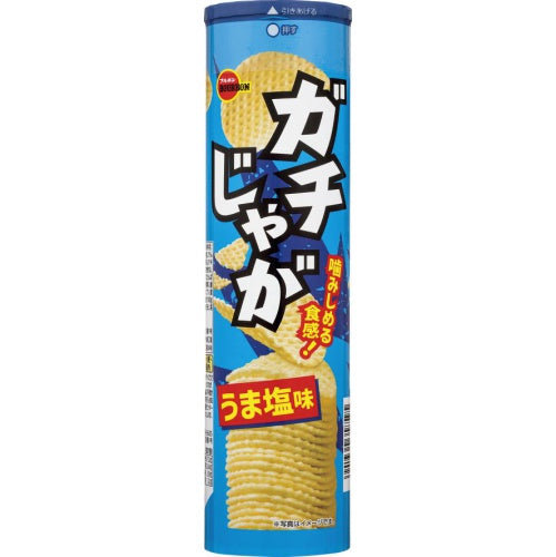 【大特価/数量限定　賞味期限2026年1月】ブルボン ガチじゃが うま塩味100g×10